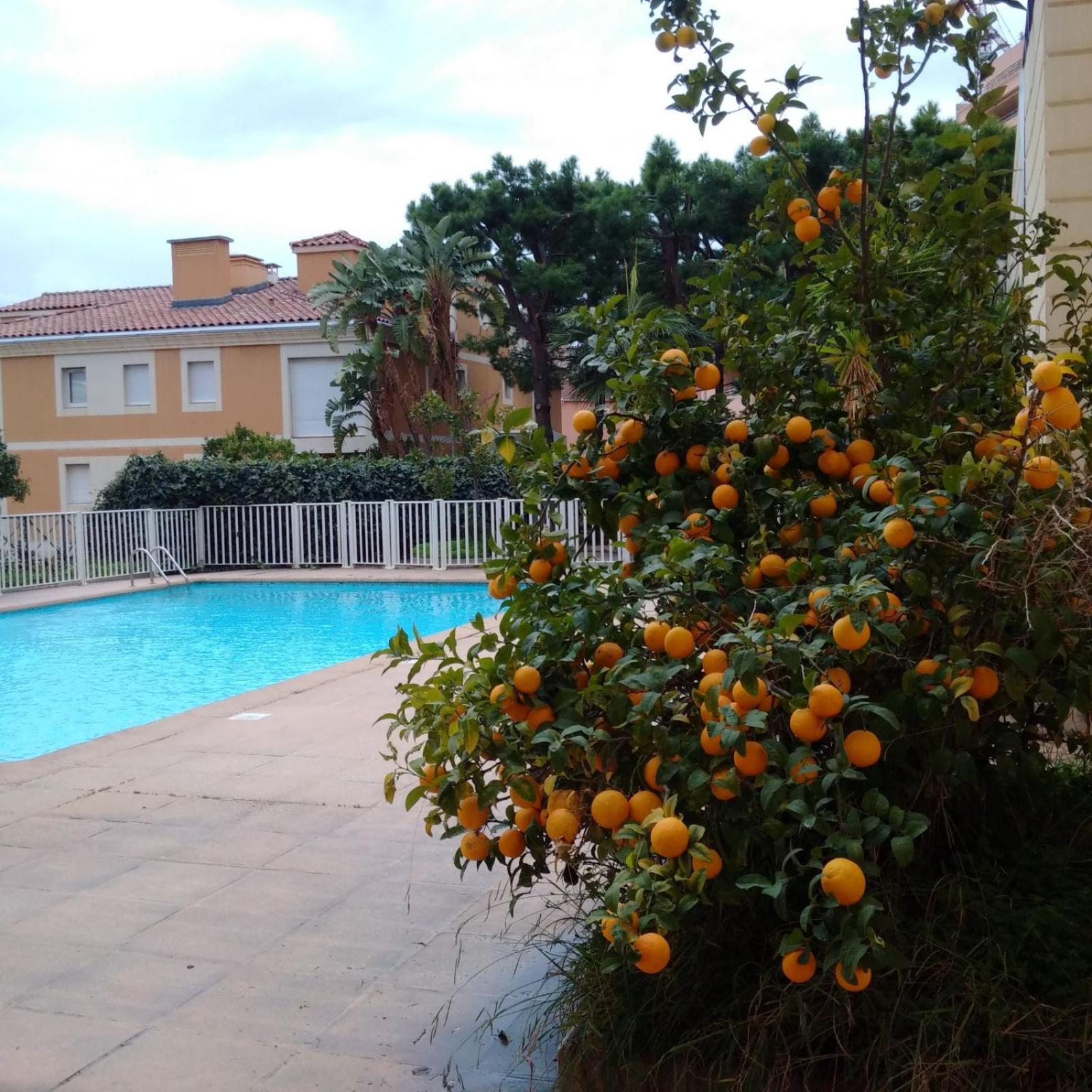 Direct Monaco Studio Devant Piscine Beausoleil Dış mekan fotoğraf