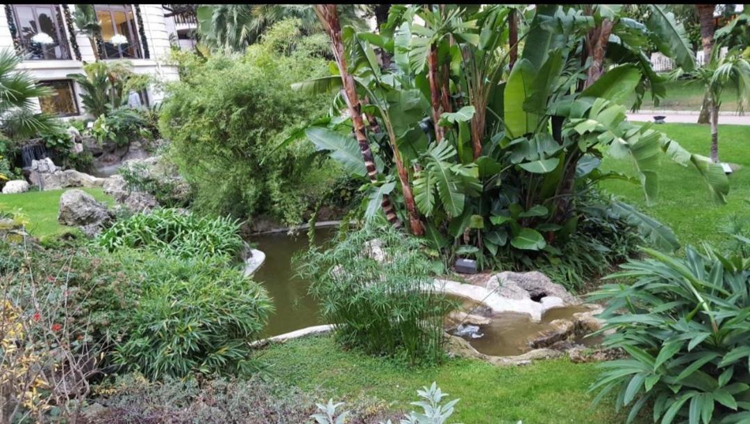 Direct Monaco Studio Devant Piscine Beausoleil Oda fotoğraf