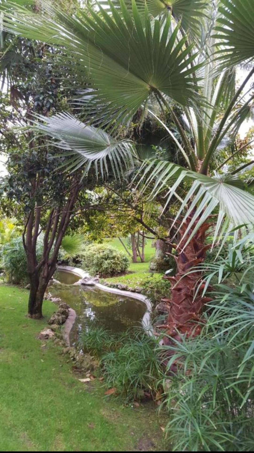 Direct Monaco Studio Devant Piscine Beausoleil Oda fotoğraf